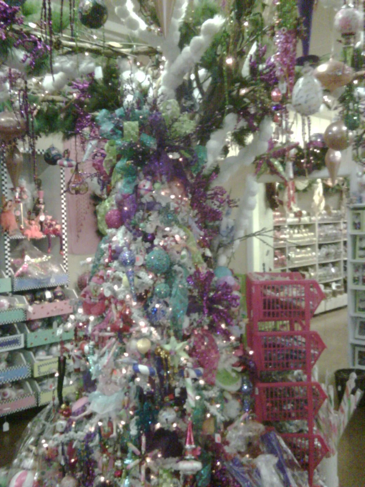 IMG00187.webp