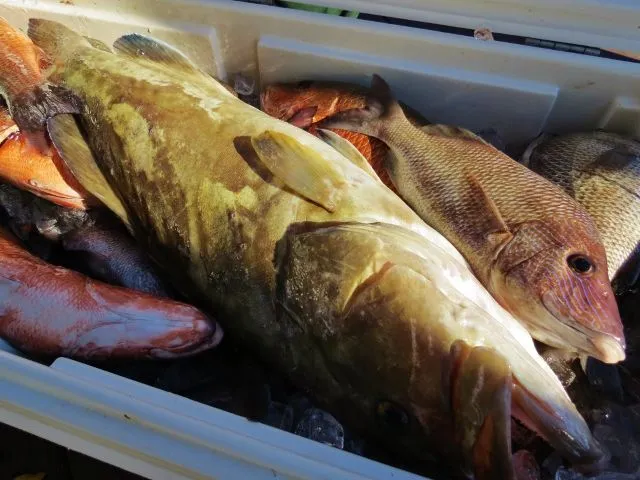 IMG_0785 (640x480) - Copy.webp