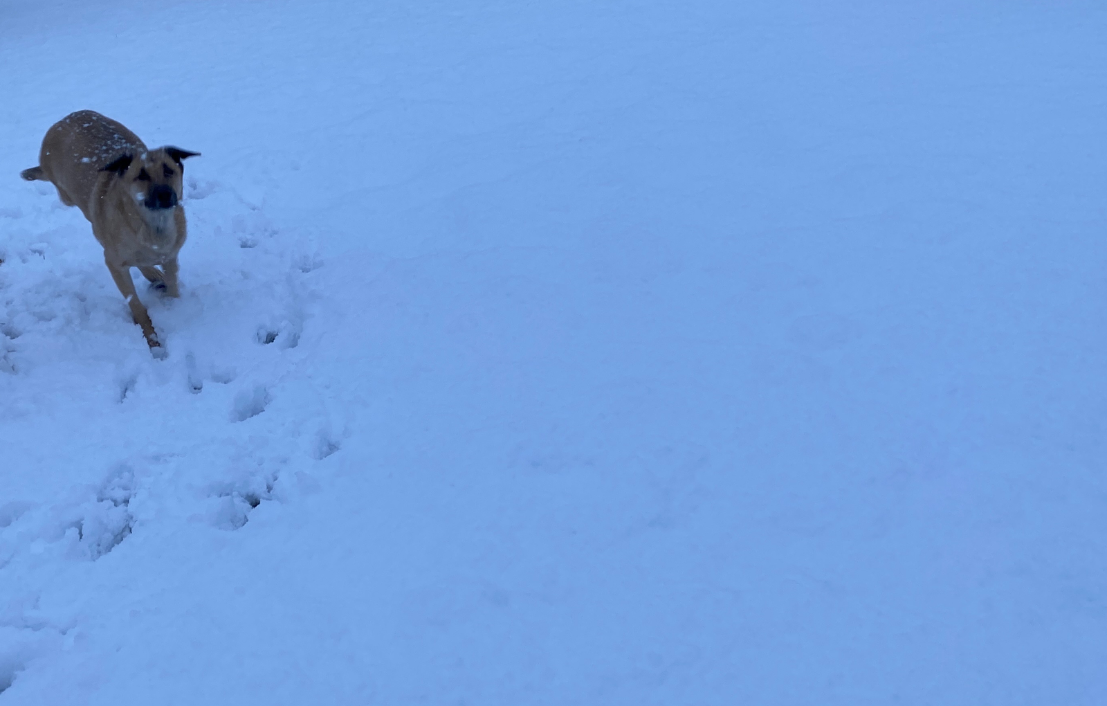 IMG_1020 copy (1).webp