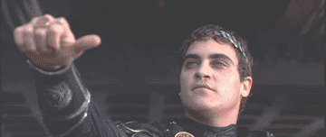 IMG_1353.GIF