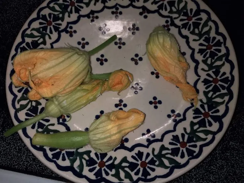 IMG_20180825_111540194.webp