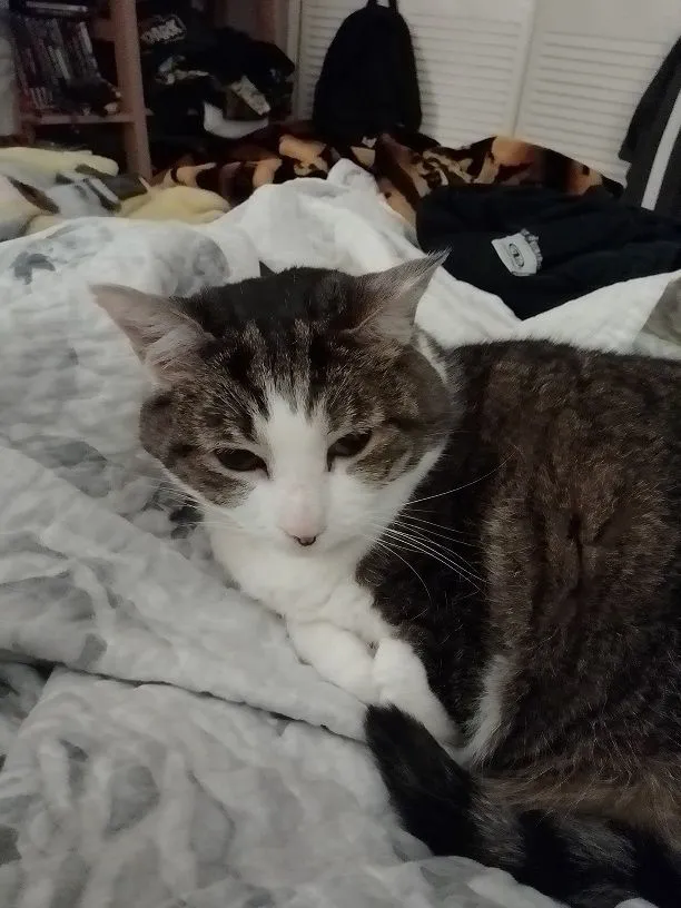 IMG_20201002_155933 2.webp