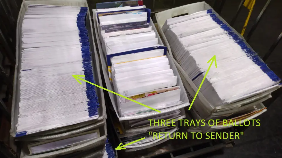 IMG_20240929_053854213 - Copy.webp