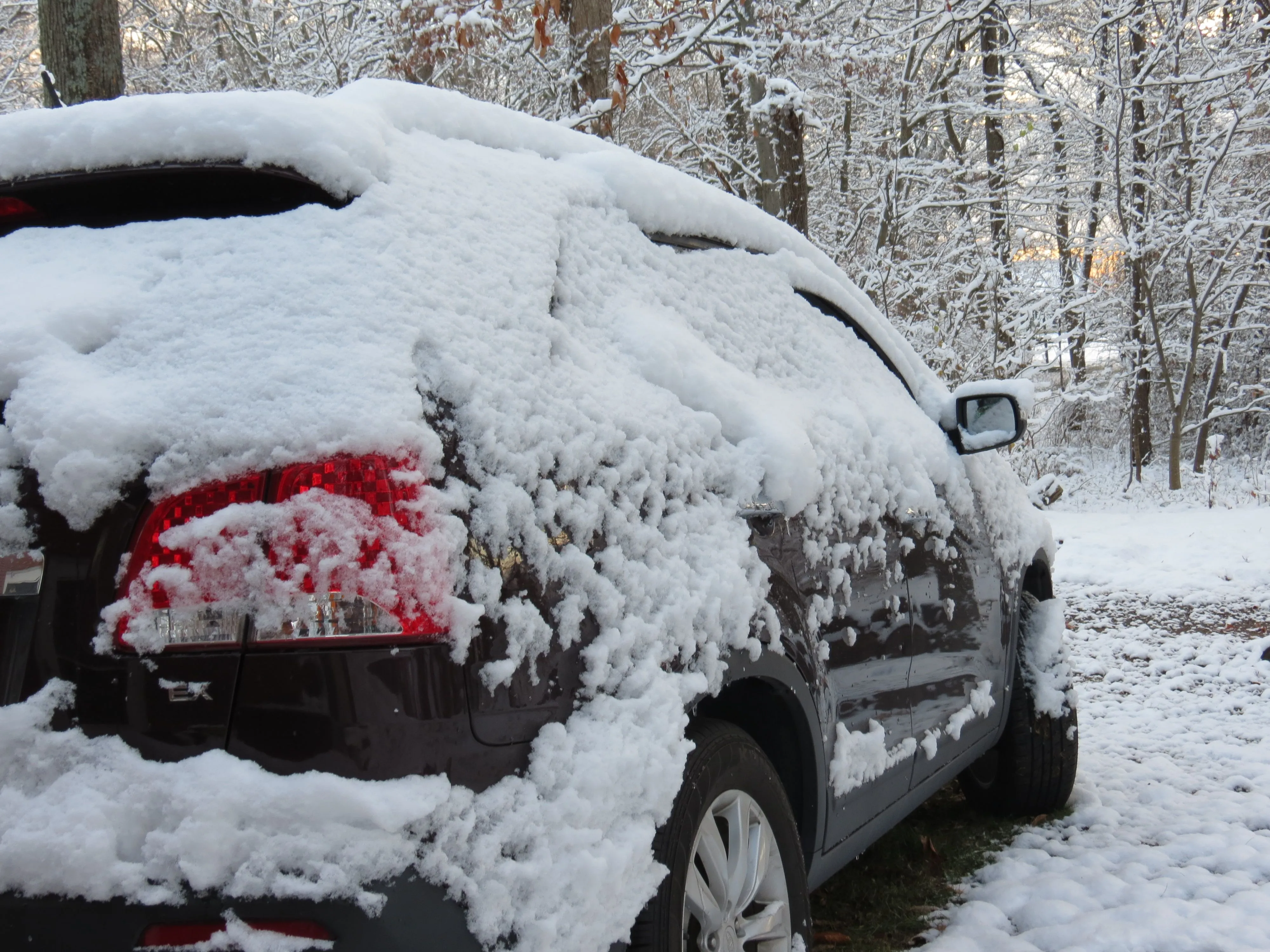 IMG_2343 - Copy.webp