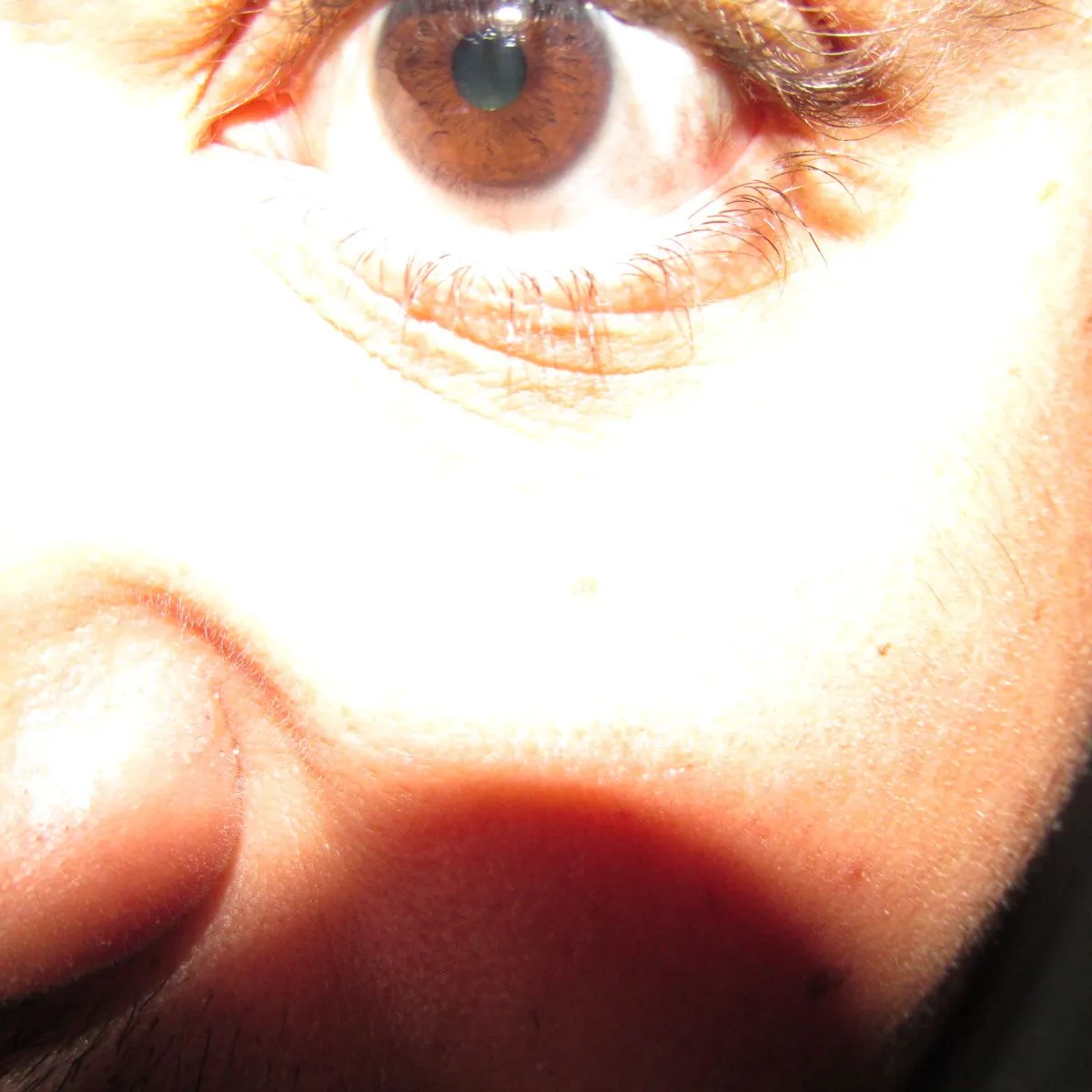 IMG_3072.webp