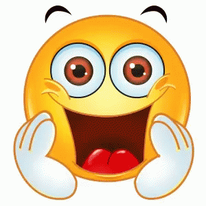 IMG_4089.gif