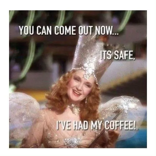 IMG_4436 (1)(1).webp