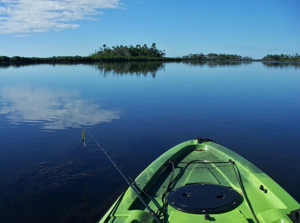 IMGP0003 (1024x761) - Copy.webp