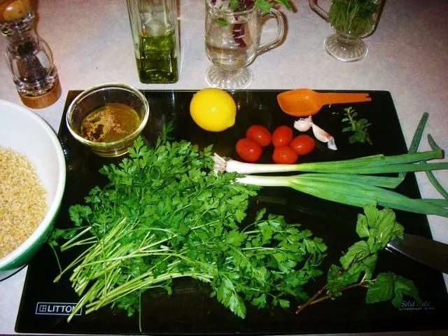 IMGP0039 (640x480) - Copy - Copy.webp