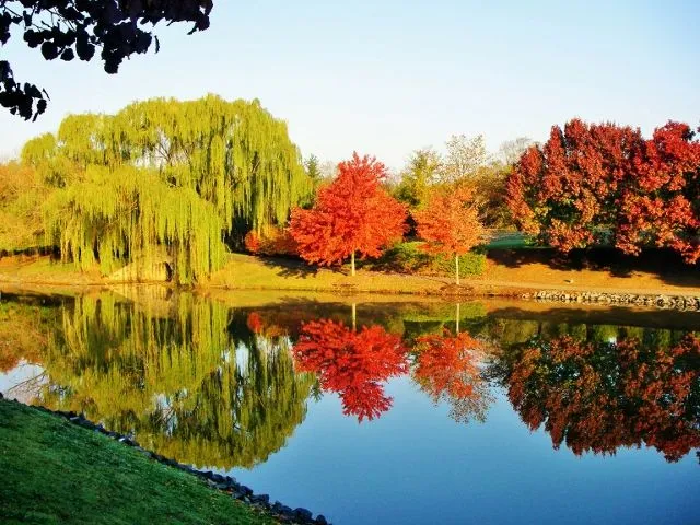 IMGP0079 (2) (640x480).webp