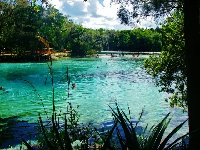 IMGP0104 (640x480) - Copy.webp