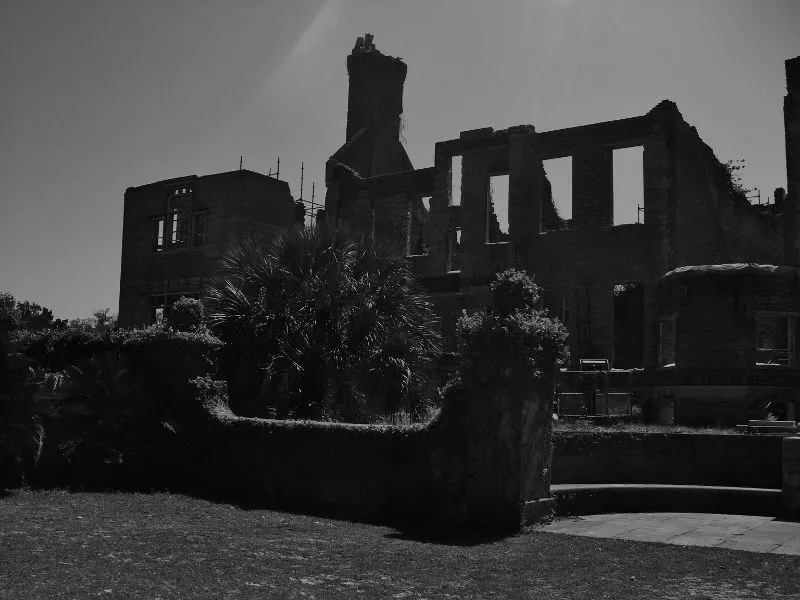 IMGP0183 (2) - Copy (800x600) - Copy.webp