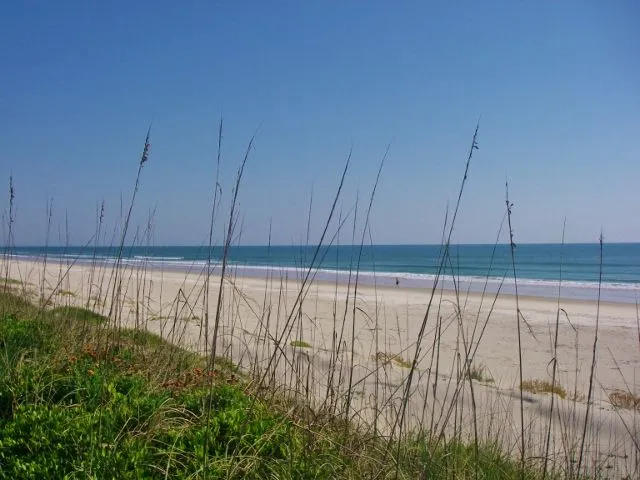 IMGP1156 (2) (640x480) - Copy.webp