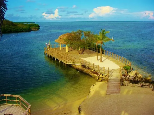 IMGP1214 (640x480) - Copy.webp