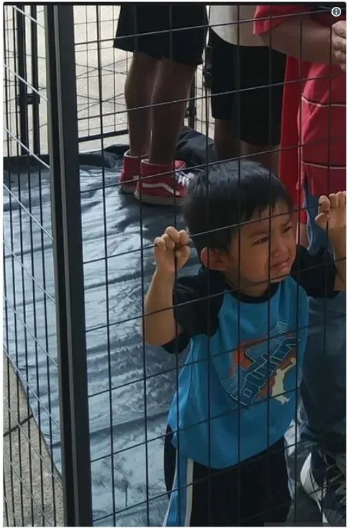 immigrantfake picture1.webp