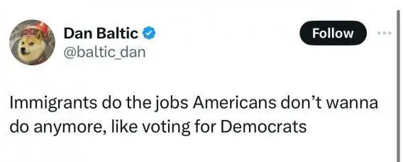 immigrants vote for dims.webp