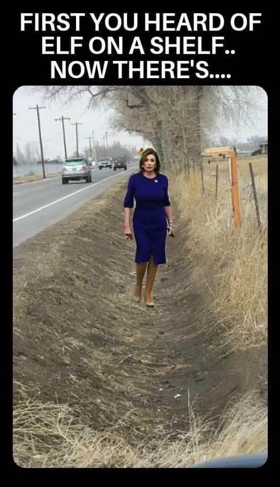 ***** in a ditch.webp