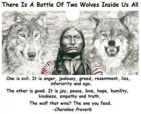indian saying about two wolves.webp