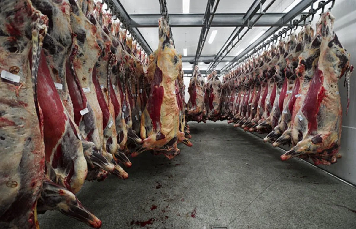 industrial-slaughterhouse.webp