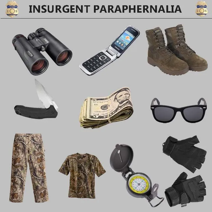 insurgent.webp