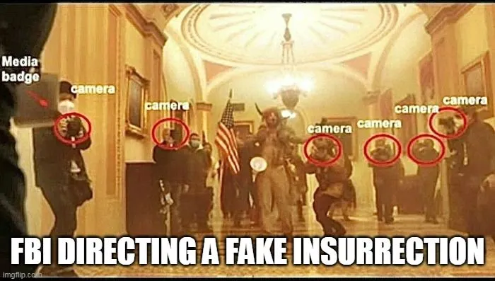 insurrection fake.webp