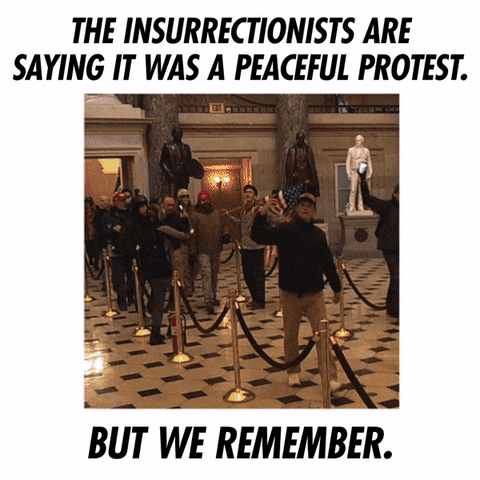 insurrection.gif