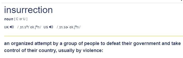 insurrectionfekdehfhhwef.JPG