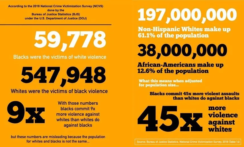 interracialviolencestatsjasjkjhadkjhadhh2.webp