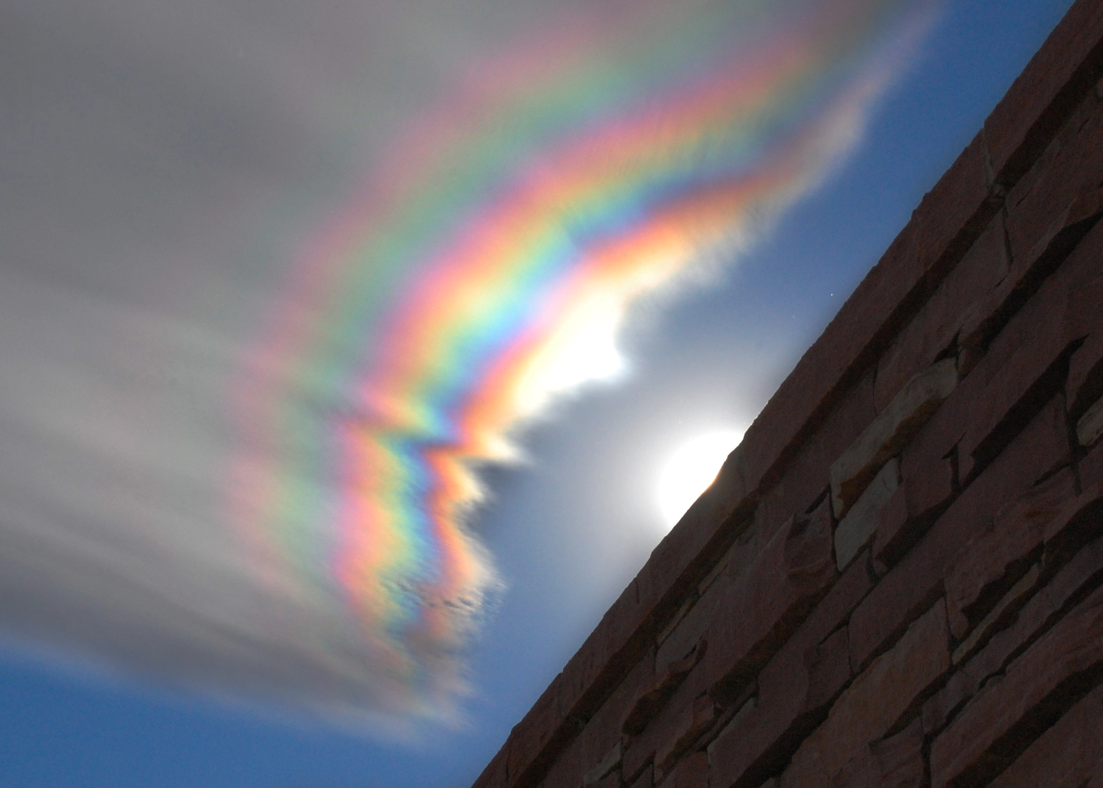 iridescent_allen_big.webp