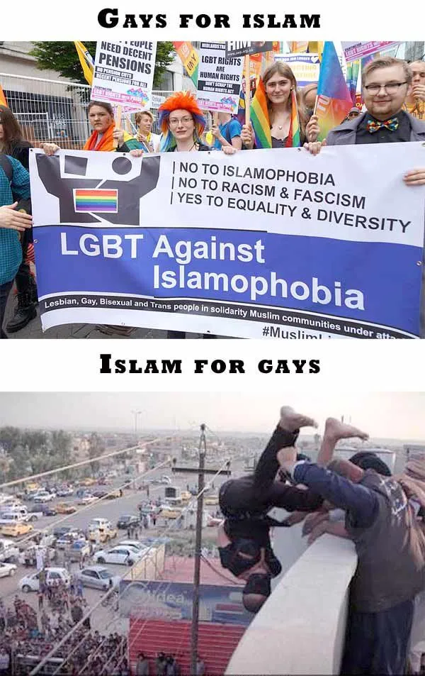 islam for gays.webp