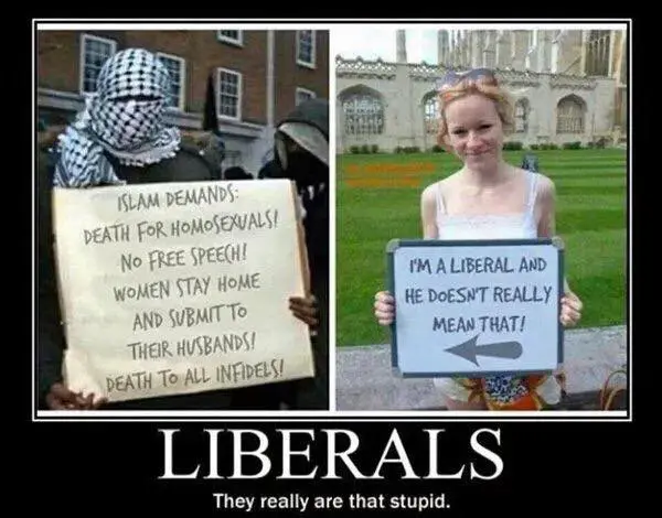Islam-liberals.webp