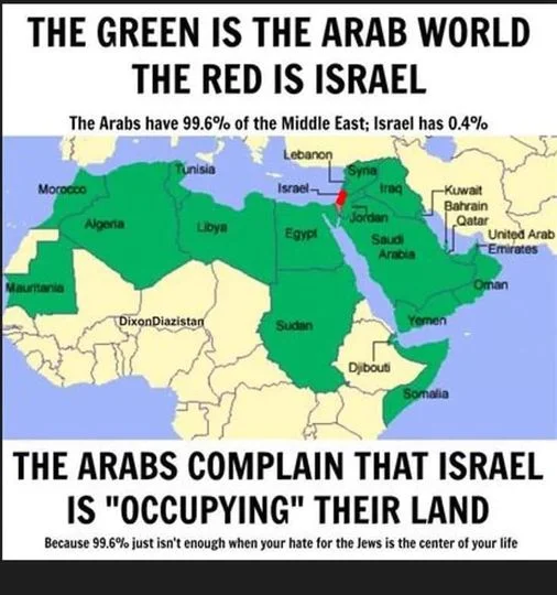 Israel Arabs.webp