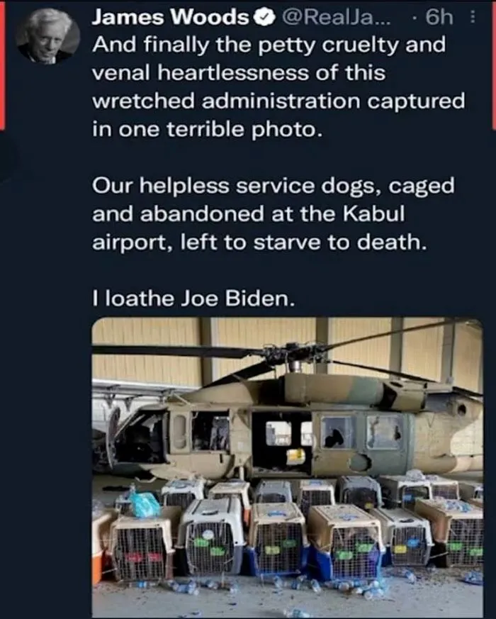 james woods slams the stuttering ****.webp