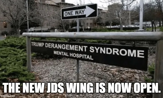jds wing.webp