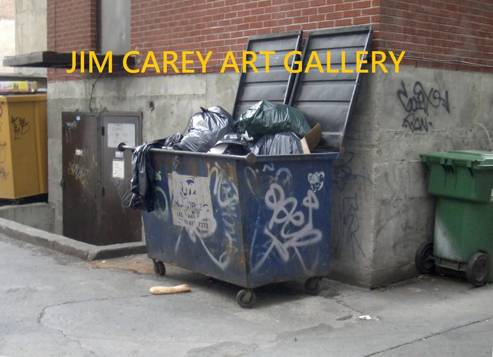 jimcaryartgallerydumpster.webp