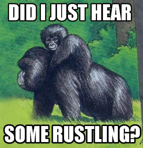 jimmies.webp