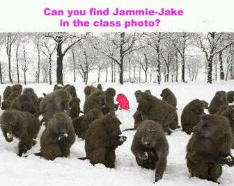 JJ.webp