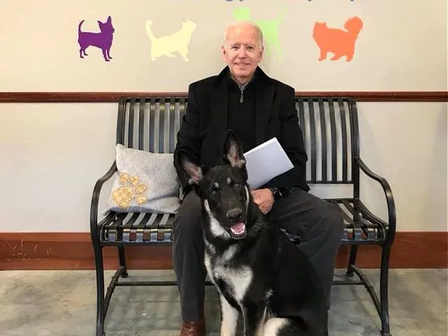 joe-biden-dog-major-Delaware-Humane-Association-facebook-640x480.webp