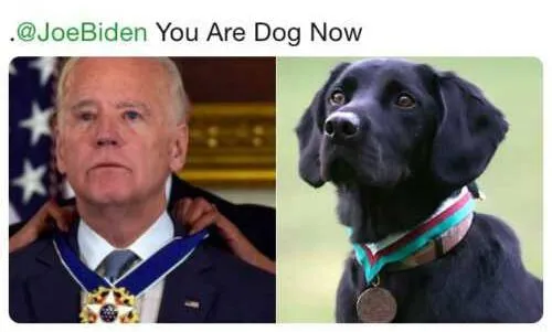 joe-biden-dog-meme-vobss-3-500x355.webp