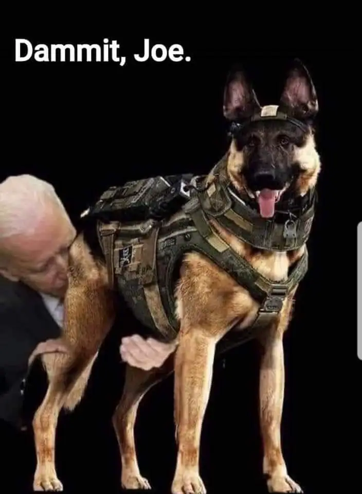 Joe Biden.webp