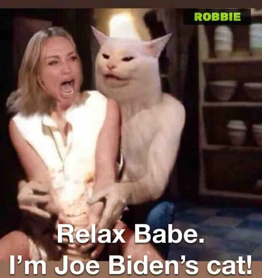 joe bidens cat.webp