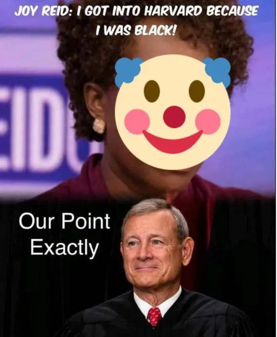 joy reid affirm action shit ape.webp