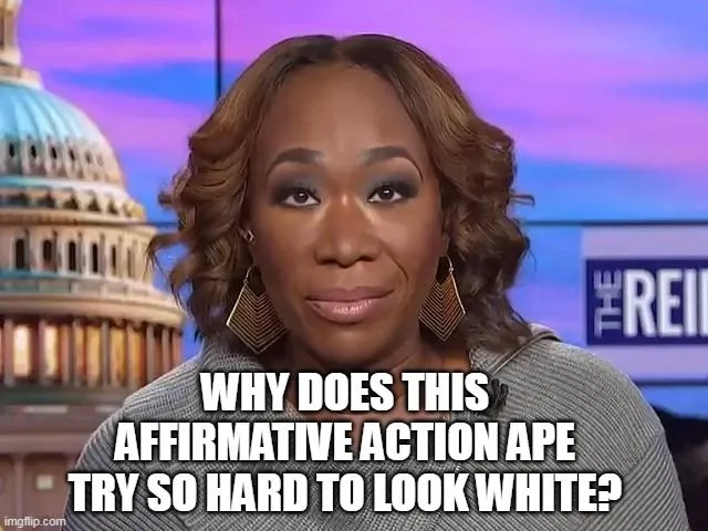 joy reid ape 993.webp