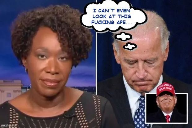 joy reid ******* ape lol.webp