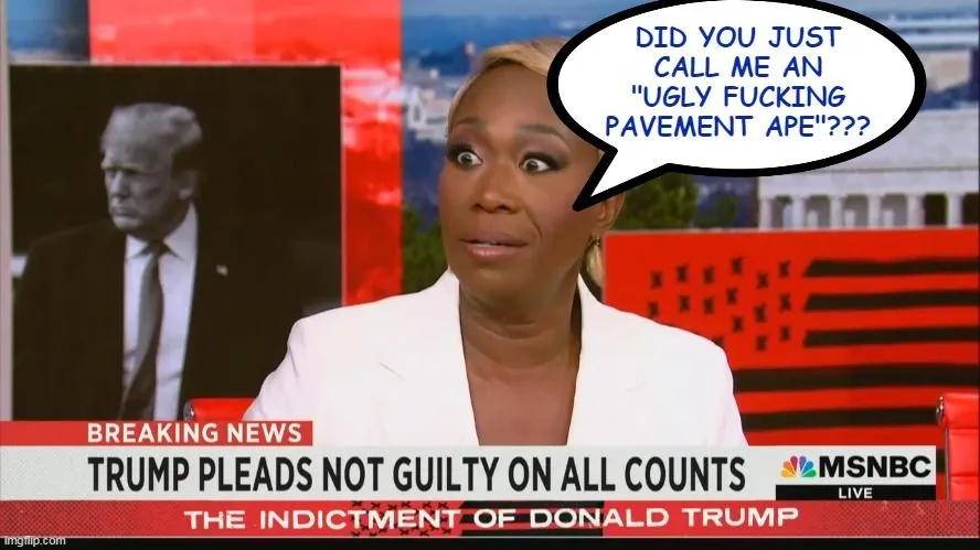 joy reid dumb ape.webp