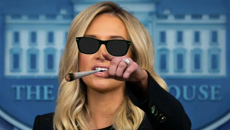 kaleigh-mcenany (1).webp