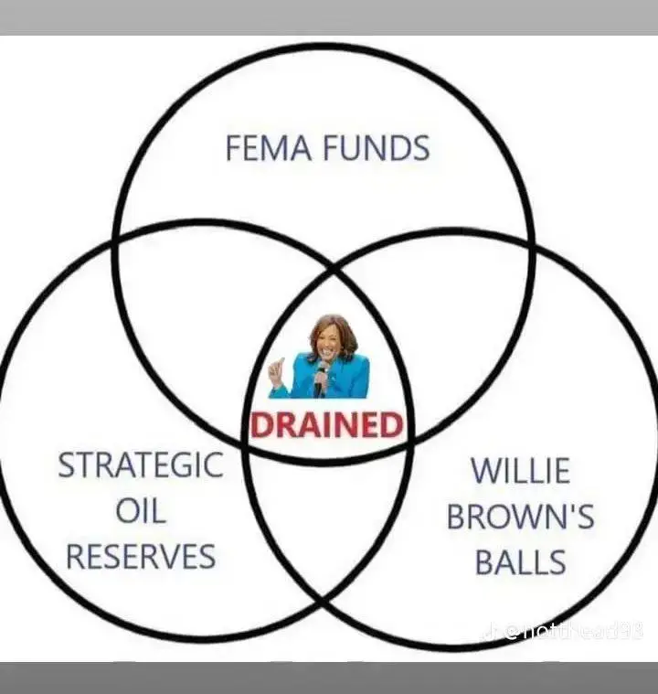 kam drained his balls.webp