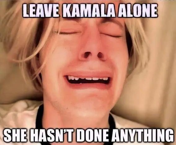 kam has done nothing.webp