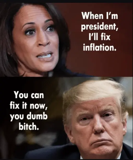 kam ill fix inflation *****.webp