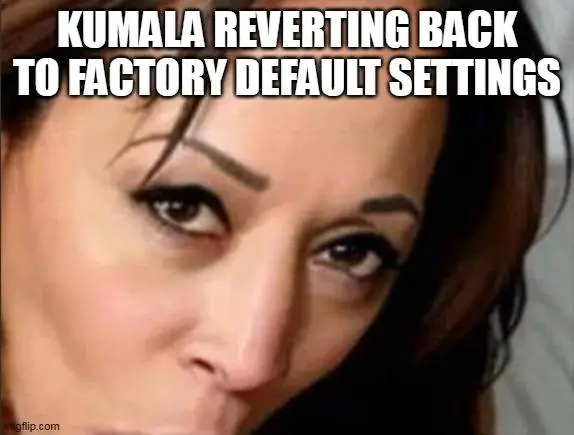 kam reverting back to factory settings.webp